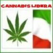 Immagine profilo di cannabislibera